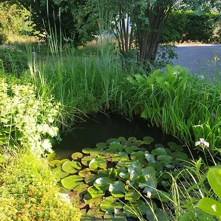 Mit Flair * Radebeul